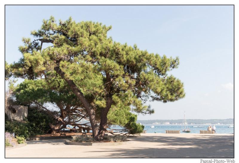 #Pascal-Photo-Web #france #Gironde #Paysage #plusbeauxvillages #CapFerret 