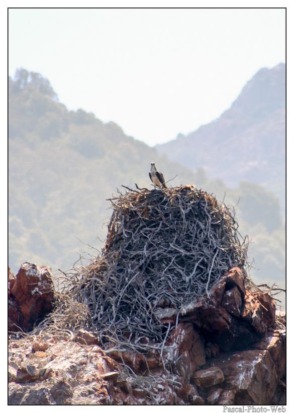 #Pascal-Photo-Web #Corse #Paysage #Corse-du-sud #France #patrimoine #touristique #2A #scandola