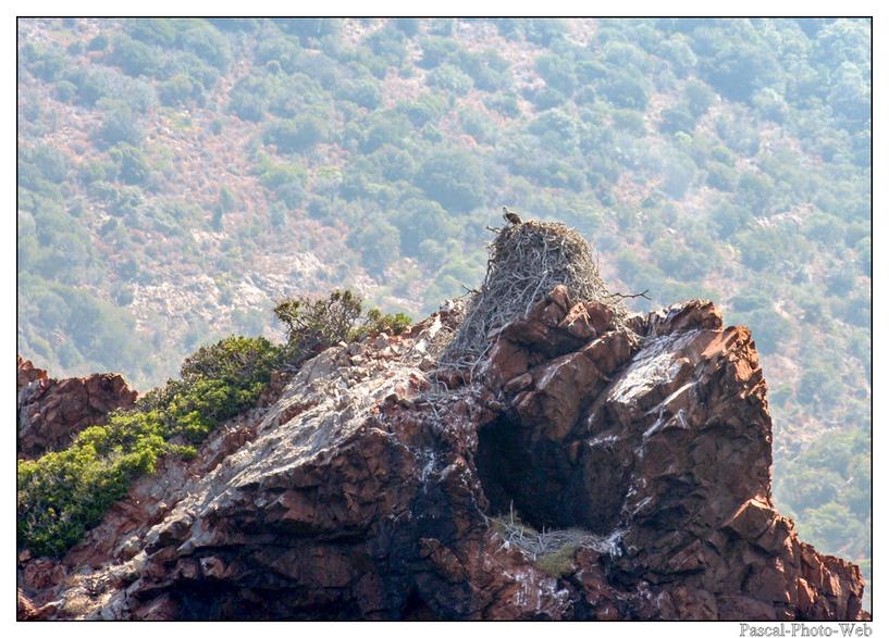 #Pascal-Photo-Web #Corse #Paysage #Corse-du-sud #France #patrimoine #touristique #2A #scandola