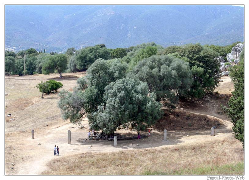 #Pascal-Photo-Web #Corse #Paysage #Corse-du-sud #France #patrimoine #touristique #2A #Filitosa