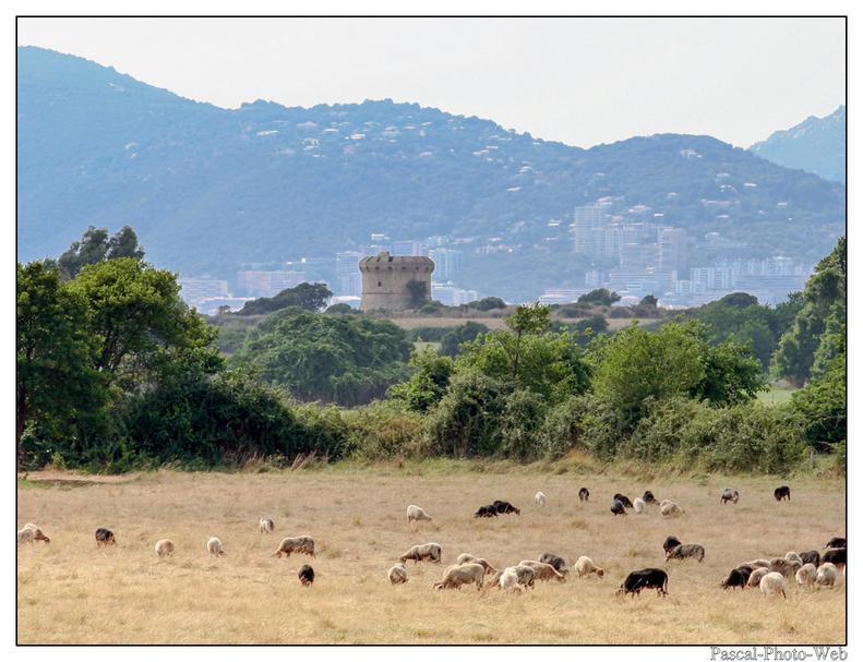 #Pascal-Photo-Web #Corse #Paysage #Corse-du-sud #France #patrimoine #touristique #2A #tour-de-capitello
