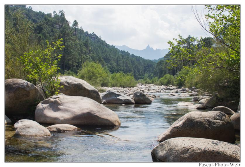#Pascal-Photo-Web #Corse #Paysage #Corse-du-sud #France #patrimoine #touristique #2A #Col-de-Bavella
