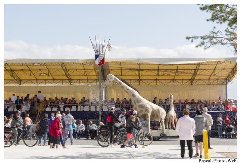 #Pascal-Photo-Web #Corsiflor