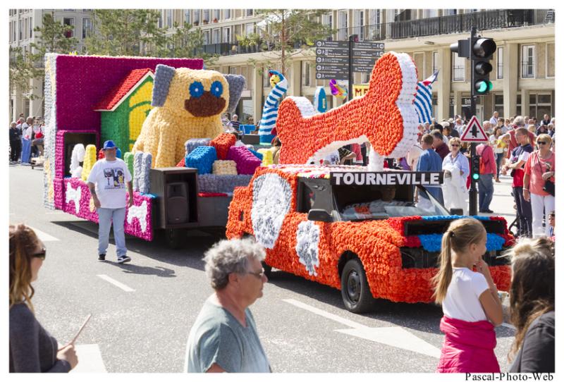 #Pascal-Photo-Web #Corsiflor