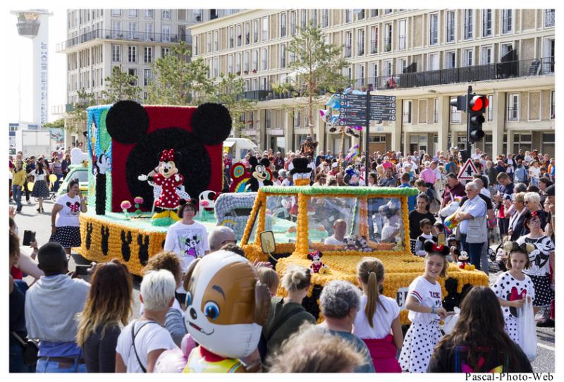 #Pascal-Photo-Web #Corsiflor