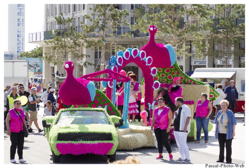 #Pascal-Photo-Web #Corsiflor