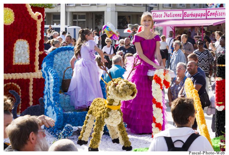 #Pascal-Photo-Web #Corsiflor