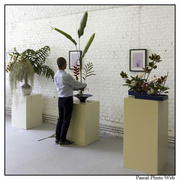 #Pascal-Photo-Web #le havre #LH #exposition #les jardins suspendus #patrimoines #Arts #Normandie #seine-maritime