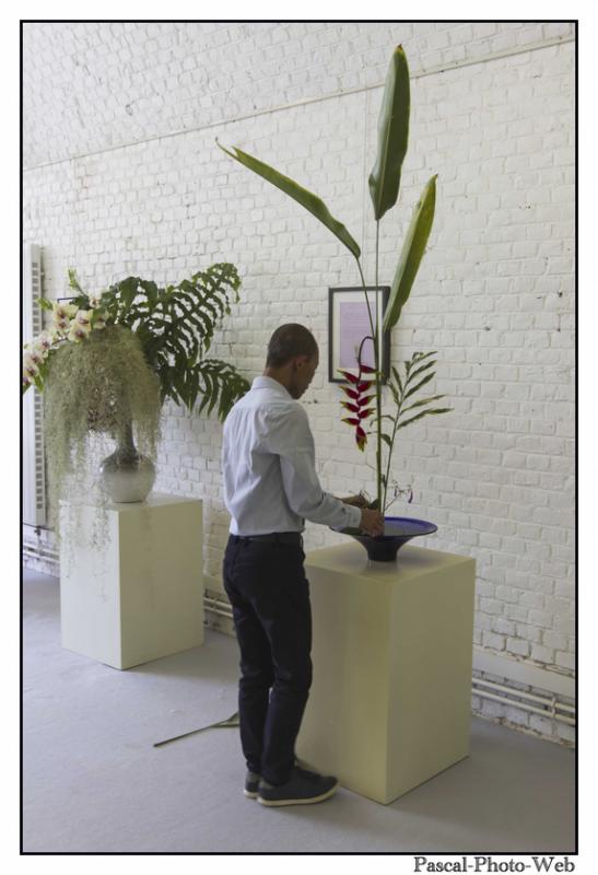 #Pascal-Photo-Web #le havre #LH #exposition #les jardins suspendus #patrimoines #Arts #Normandie #seine-maritime