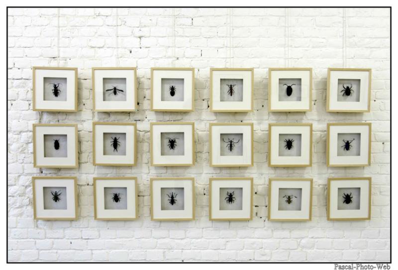 #Pascal-Photo-Web #le havre #LH #exposition #les jardins suspendus #patrimoines #Arts #Normandie #seine-maritime