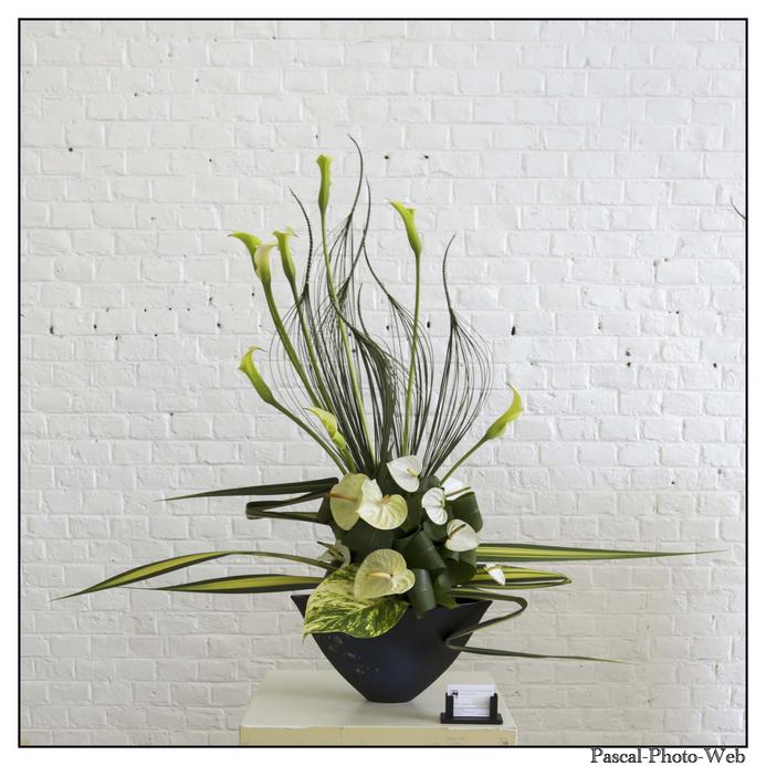 #Pascal-Photo-Web #le havre #LH #exposition #les jardins suspendus #patrimoines #Arts #Normandie #seine-maritime