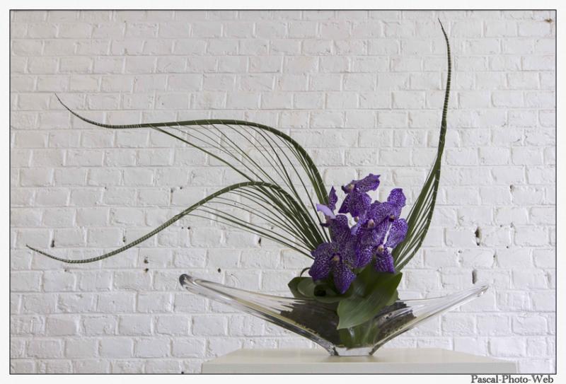 #Pascal-Photo-Web #le havre #LH #exposition #les jardins suspendus #patrimoines #Arts #Normandie #seine-maritime