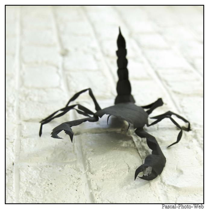 #Pascal-Photo-Web #le havre #LH #exposition #les jardins suspendus #patrimoines #Arts #Normandie #seine-maritime