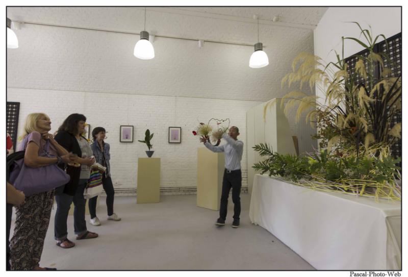 #Pascal-Photo-Web #le havre #LH #exposition #les jardins suspendus #patrimoines #Arts #Normandie #seine-maritime