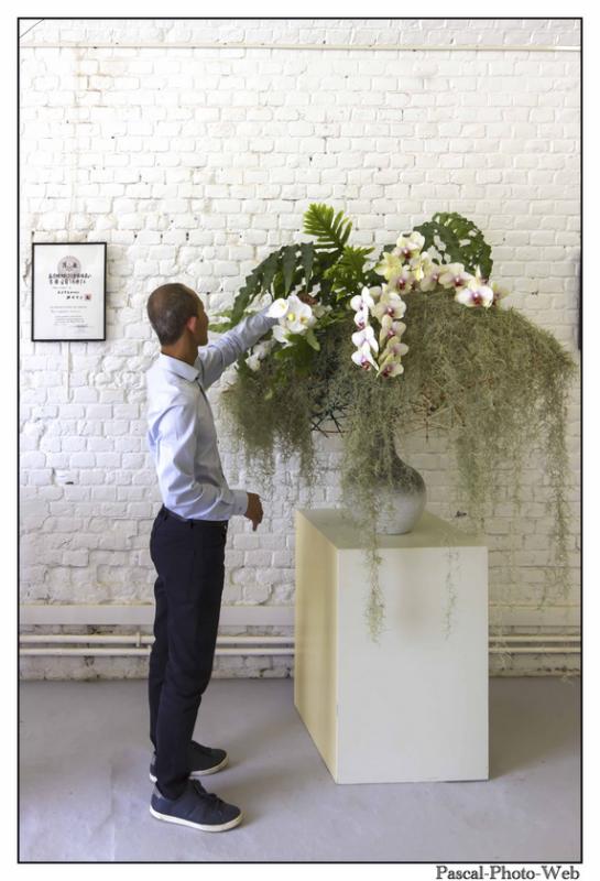 #Pascal-Photo-Web #le havre #LH #exposition #les jardins suspendus #patrimoines #Arts #Normandie #seine-maritime