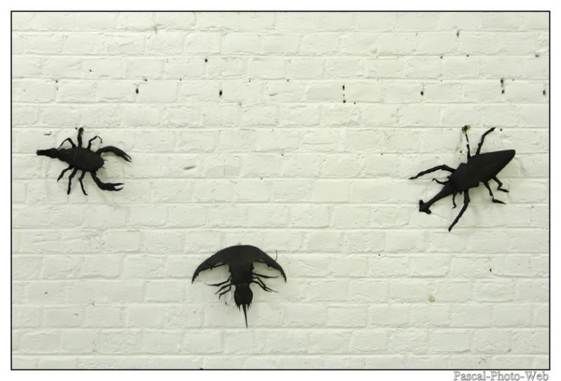 #Pascal-Photo-Web #le havre #LH #exposition #les jardins suspendus #patrimoines #Arts #Normandie #seine-maritime