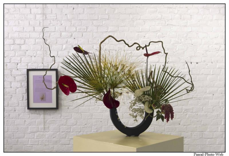 #Pascal-Photo-Web #le havre #LH #exposition #les jardins suspendus #patrimoines #Arts #Normandie #seine-maritime