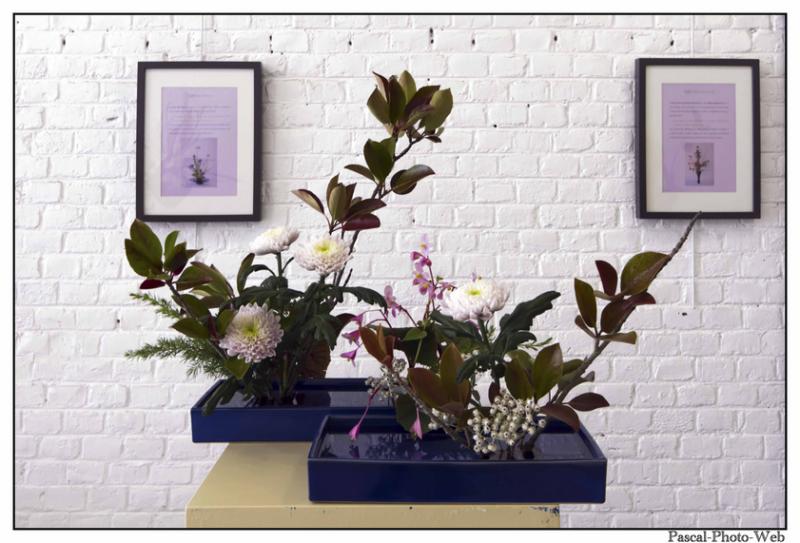 #Pascal-Photo-Web #le havre #LH #exposition #les jardins suspendus #patrimoines #Arts #Normandie #seine-maritime