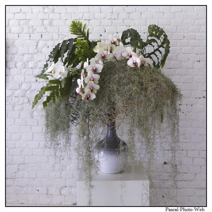 #Pascal-Photo-Web #le havre #LH #exposition #les jardins suspendus #patrimoines #Arts #Normandie #seine-maritime