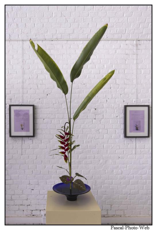 #Pascal-Photo-Web #le havre #LH #exposition #les jardins suspendus #patrimoines #Arts #Normandie #seine-maritime