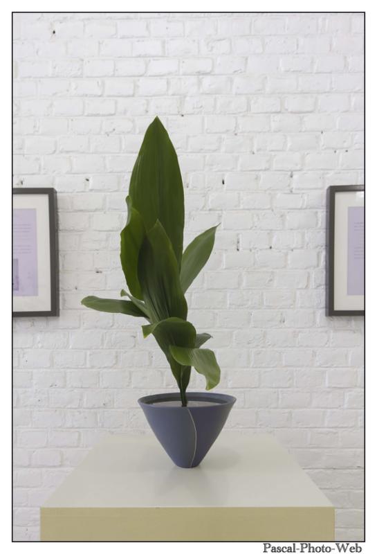 #Pascal-Photo-Web #le havre #LH #exposition #les jardins suspendus #patrimoines #Arts #Normandie #seine-maritime