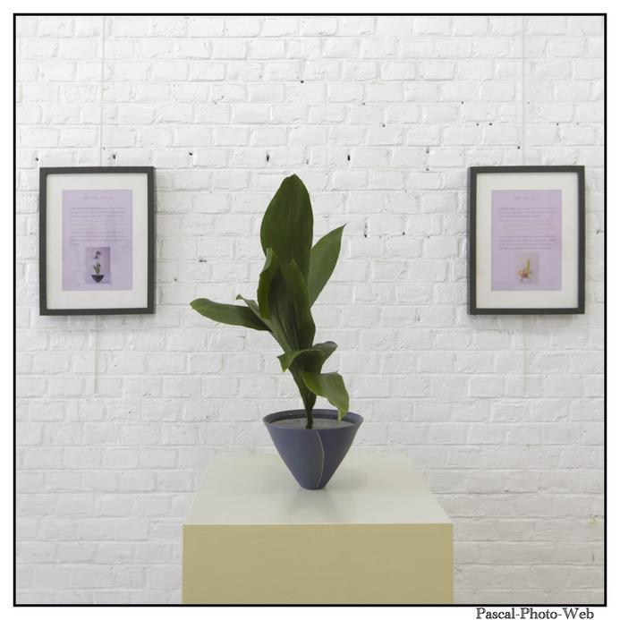 #Pascal-Photo-Web #le havre #LH #exposition #les jardins suspendus #patrimoines #Arts #Normandie #seine-maritime