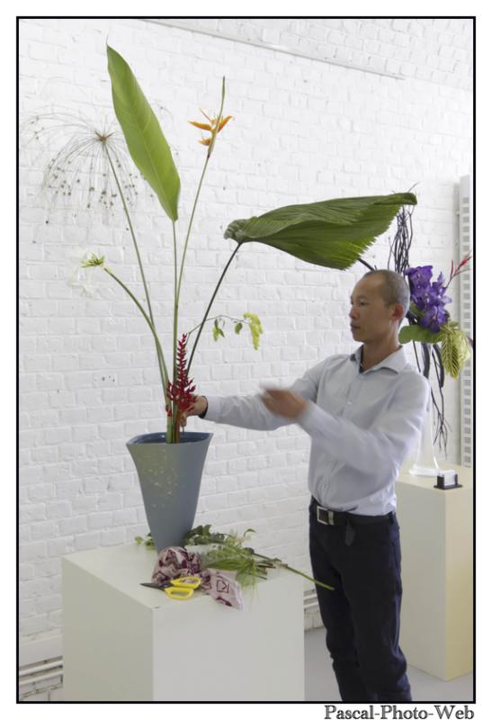 #Pascal-Photo-Web #le havre #LH #exposition #les jardins suspendus #patrimoines #Arts #Normandie #seine-maritime