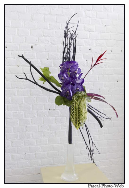 #Pascal-Photo-Web #le havre #LH #exposition #les jardins suspendus #patrimoines #Arts #Normandie #seine-maritime