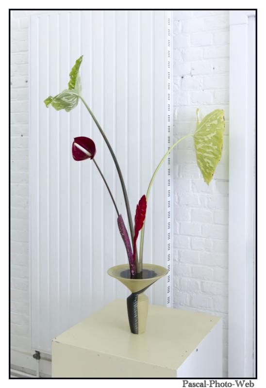 #Pascal-Photo-Web #le havre #LH #exposition #les jardins suspendus #patrimoines #Arts #Normandie #seine-maritime