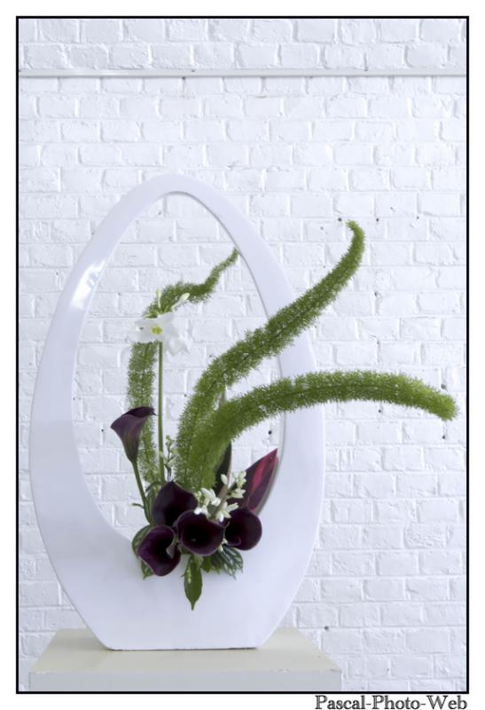 #Pascal-Photo-Web #le havre #LH #exposition #les jardins suspendus #patrimoines #Arts #Normandie #seine-maritime