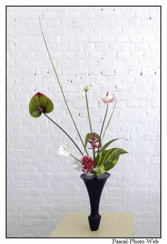 #Pascal-Photo-Web #le havre #LH #exposition #les jardins suspendus #patrimoines #Arts #Normandie #seine-maritime