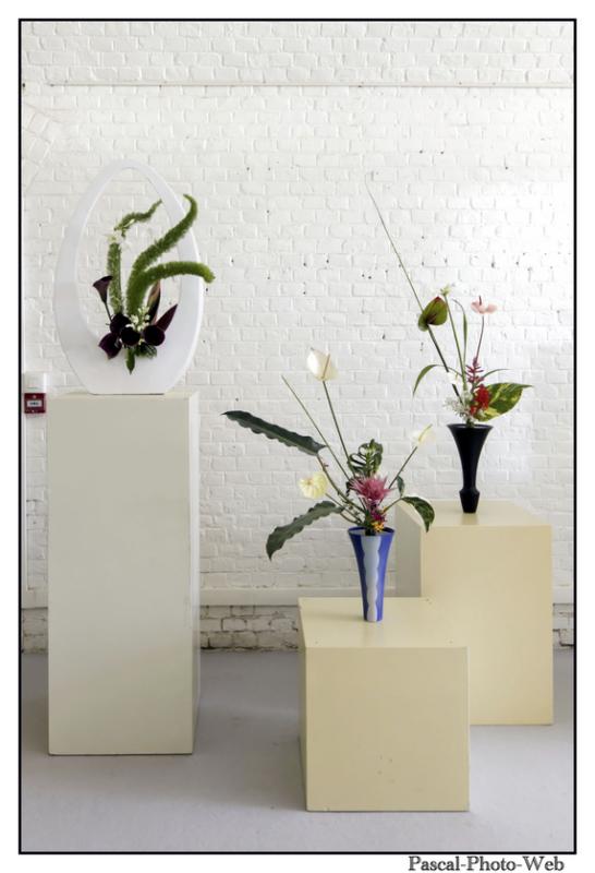 #Pascal-Photo-Web #le havre #LH #exposition #les jardins suspendus #patrimoines #Arts #Normandie #seine-maritime