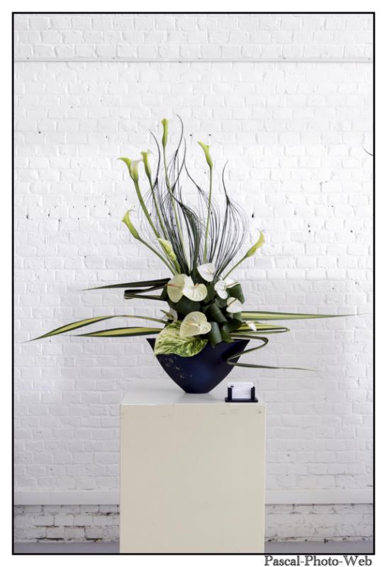 #Pascal-Photo-Web #le havre #LH #exposition #les jardins suspendus #patrimoines #Arts #Normandie #seine-maritime