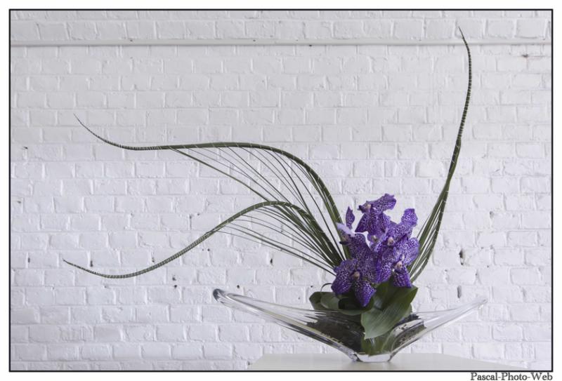 #Pascal-Photo-Web #le havre #LH #exposition #les jardins suspendus #patrimoines #Arts #Normandie #seine-maritime