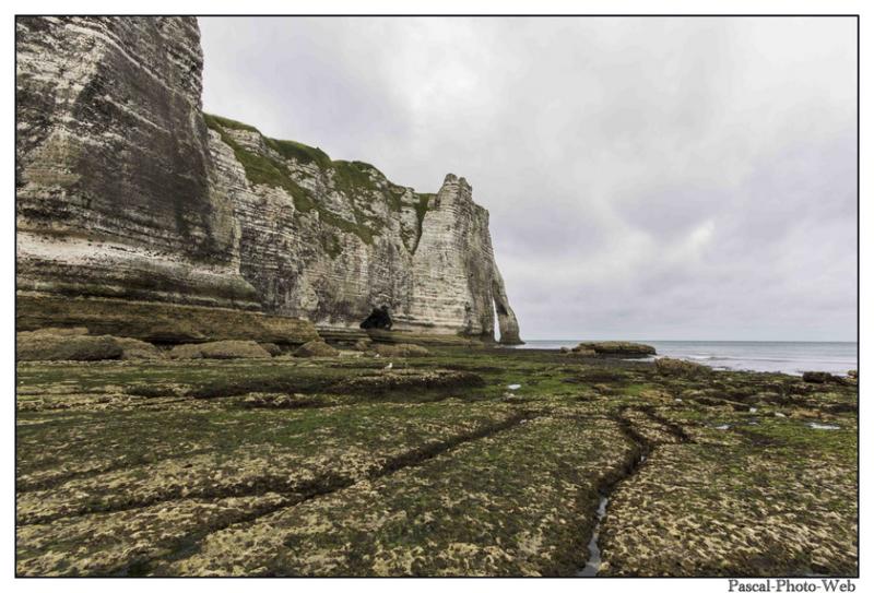 #Pascal-Photo-Web #Etretat #Paysage #Seine-Maritime #France #Litoral #Baln�aire #Lupin #Falaise #Normandie #76 Galets #patrimoine #plage #touristique #mer