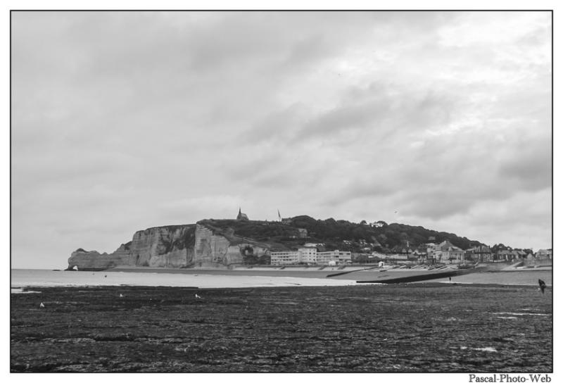 #Pascal-Photo-Web #Etretat #Paysage #Seine-Maritime #France #Litoral #Baln�aire #Lupin #Falaise #Normandie #76 Galets #patrimoine #plage #touristique #mer
