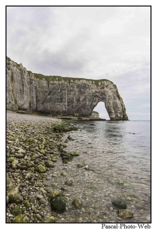 #Pascal-Photo-Web #Etretat #Paysage #Seine-Maritime #France #Litoral #Baln�aire #Lupin #Falaise #Normandie #76 Galets #patrimoine #plage #touristique #mer
