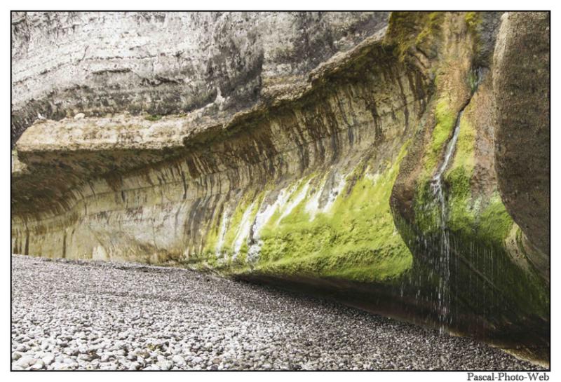 #Pascal-Photo-Web #Etretat #Paysage #Seine-Maritime #France #Litoral #Baln�aire #Lupin #Falaise #Normandie #76 Galets #patrimoine #plage #touristique #mer