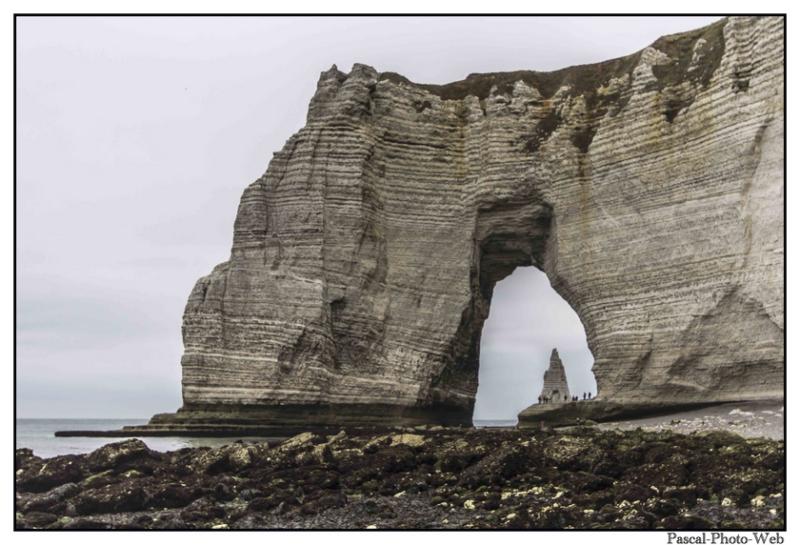 #Pascal-Photo-Web #Etretat #Paysage #Seine-Maritime #France #Litoral #Baln�aire #Lupin #Falaise #Normandie #76 Galets #patrimoine #plage #touristique #mer