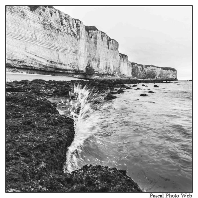 #Pascal-Photo-Web #Etretat #Paysage #Seine-Maritime #France #Litoral #Baln�aire #Lupin #Falaise #Normandie #76 Galets #patrimoine #plage #touristique #mer