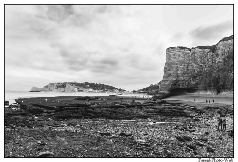 #Pascal-Photo-Web #Etretat #Paysage #Seine-Maritime #France #Litoral #Baln�aire #Lupin #Falaise #Normandie #76 Galets #patrimoine #plage #touristique #mer