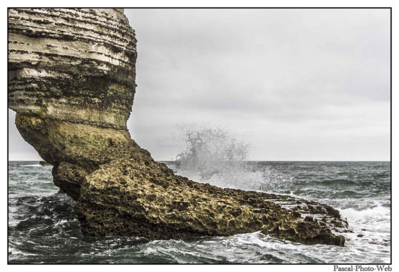 #Pascal-Photo-Web #Etretat #Paysage #Seine-Maritime #France #Litoral #Baln�aire #Lupin #Falaise #Normandie #76 Galets #patrimoine #plage #touristique #mer