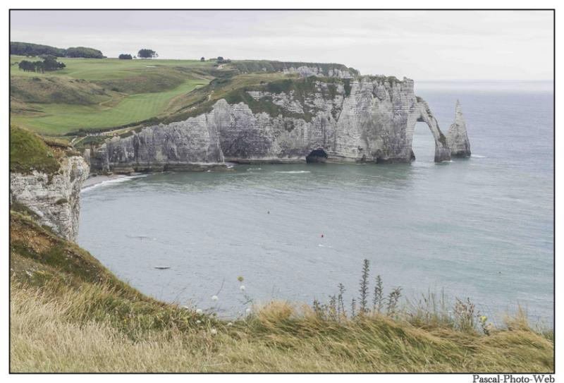 #Pascal-Photo-Web #Etretat #Paysage #Seine-Maritime #France #Litoral #Baln�aire #Lupin #Falaise #Normandie #76 Galets #patrimoine #plage #touristique #mer