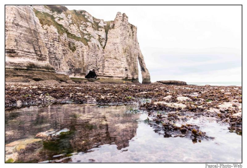 #Pascal-Photo-Web #Etretat #Paysage #Seine-Maritime #France #Litoral #Baln�aire #Lupin #Falaise #Normandie #76 Galets #patrimoine #plage #touristique #mer