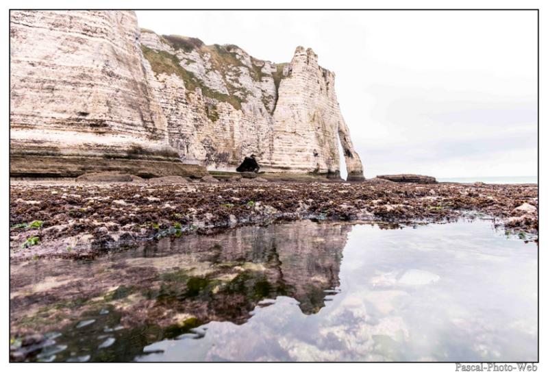 #Pascal-Photo-Web #Etretat #Paysage #Seine-Maritime #France #Litoral #Baln�aire #Lupin #Falaise #Normandie #76 Galets #patrimoine #plage #touristique #mer