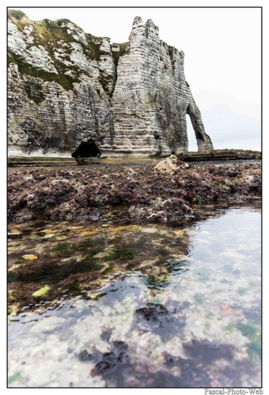 #Pascal-Photo-Web #Etretat #Paysage #Seine-Maritime #France #Litoral #Baln�aire #Lupin #Falaise #Normandie #76 Galets #patrimoine #plage #touristique #mer