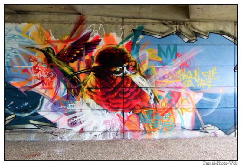 #Pascal-Photo-Web #photographie #france #normandie #lehavre #street art #graffe #Art
