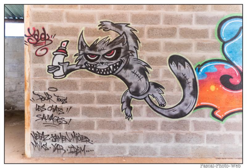 #Pascal-Photo-Web #photographie #france #normandie #lehavre #street art #graffe #Art #Urbex