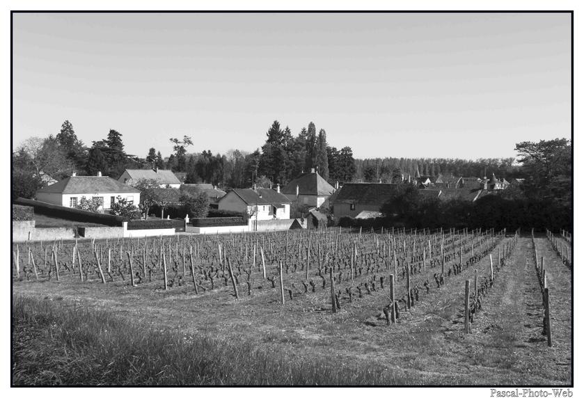 #Pascal-Photo-Web #photo #centre-val-de-loire #indre-et-loire #paysage #chenonceau #france #37 #ouest #tourisme