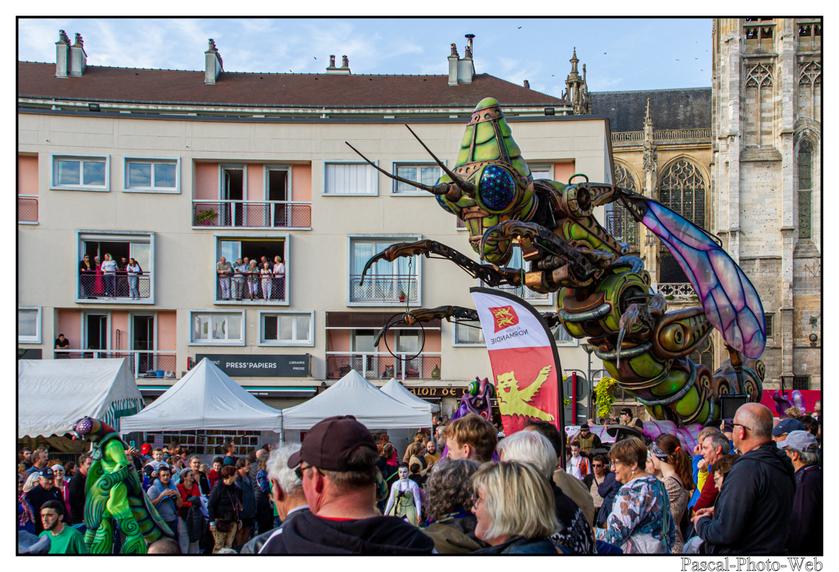 #Pascal-Photo-Web #photograhie #concert #musique #caudebecencaux #F�teducidreetdelapomme #Hastasiempre #lesagitesdubocal